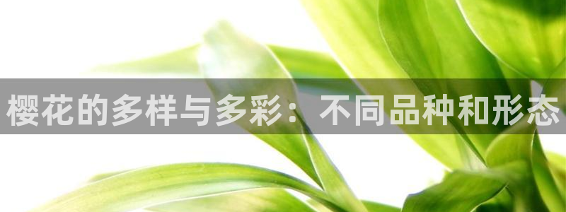 星空传媒电影免费观看