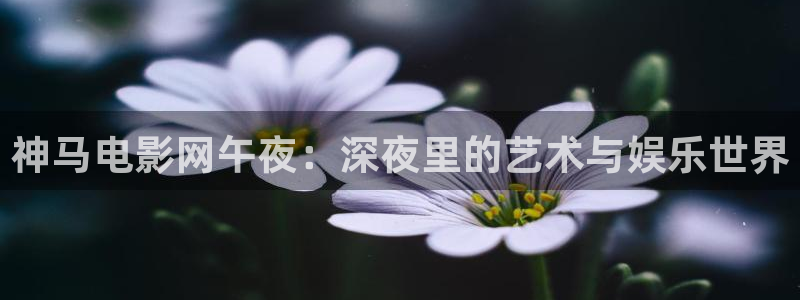星空电影院在线观看播放