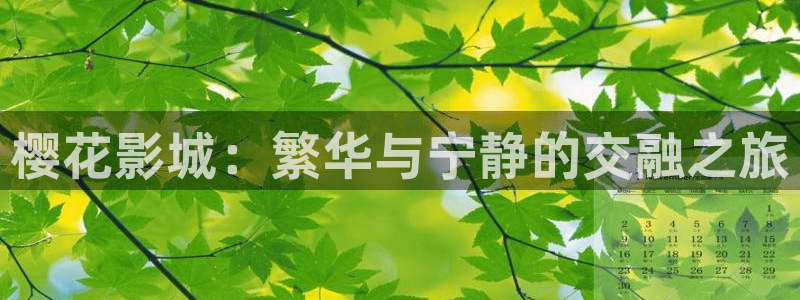 午马电影在线免费观看