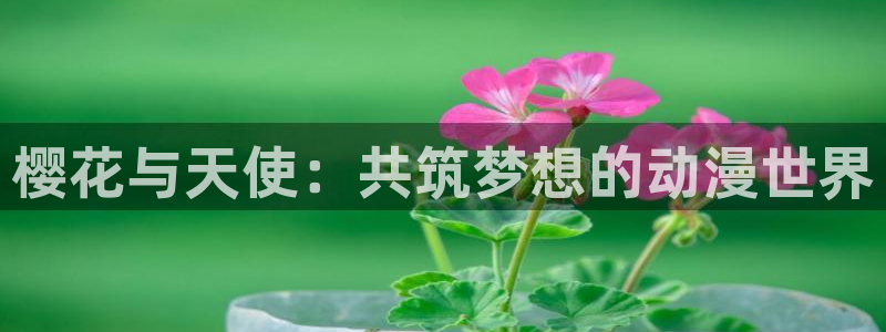 星空视频素材
