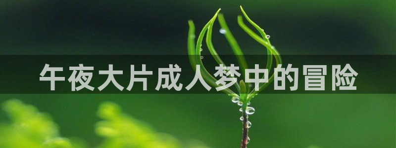星空影视在线免费观看
