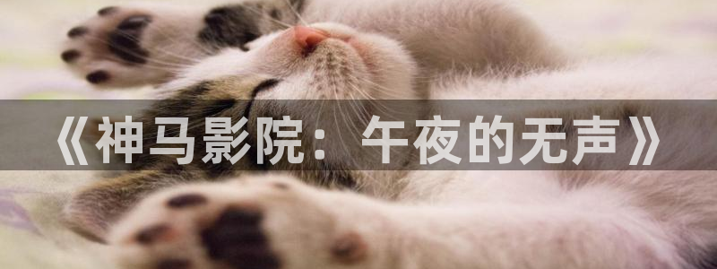 星空影视免费下载官网