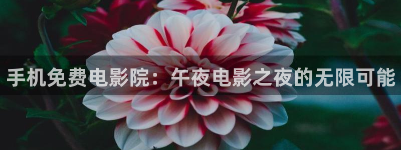 星空影业有限公司