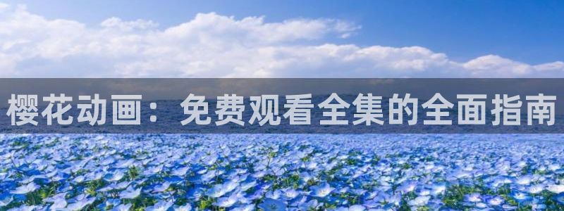 星空影视是真的吗
