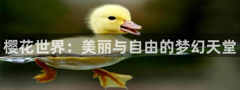 午马电影在线观看免费观