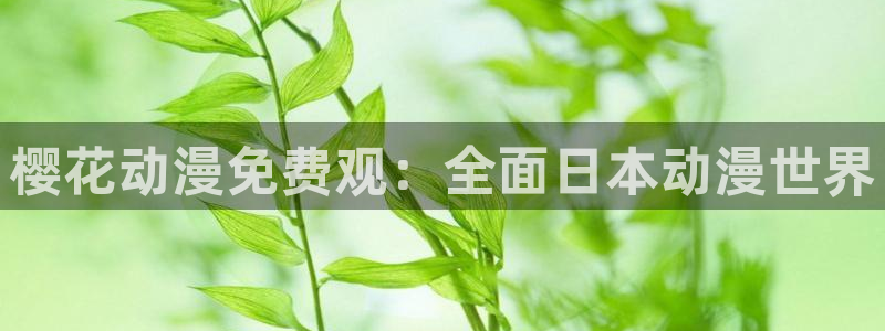 下载影视星空