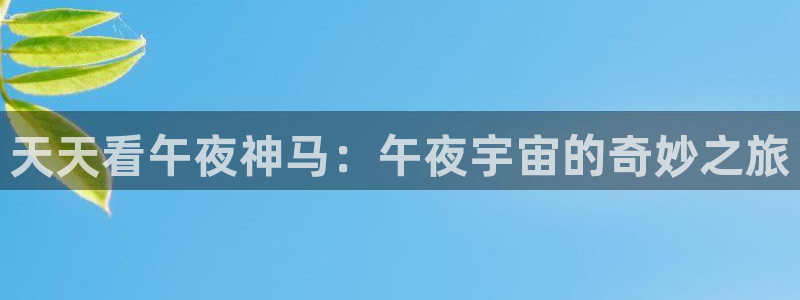 星空影视 中国