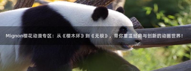 星空在线观影剧院