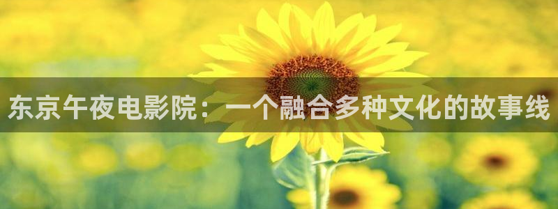 长相思午马电影