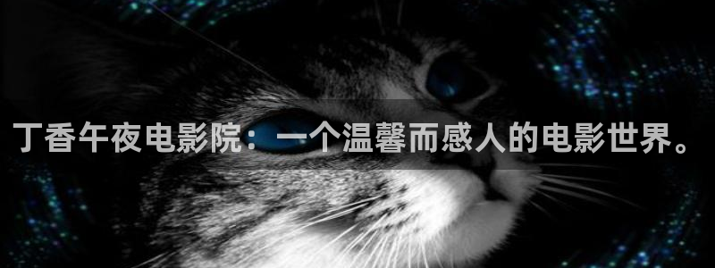 星空传媒观看