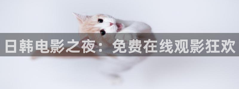 午马电影在线免费播放