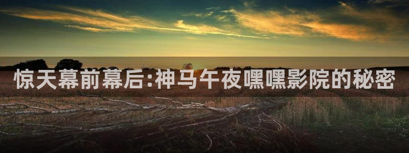 午马电影免费观看电视剧电影最新