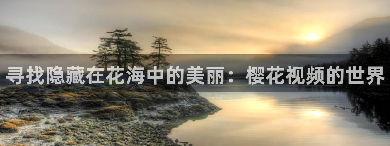 亮剑午马电影免费观看