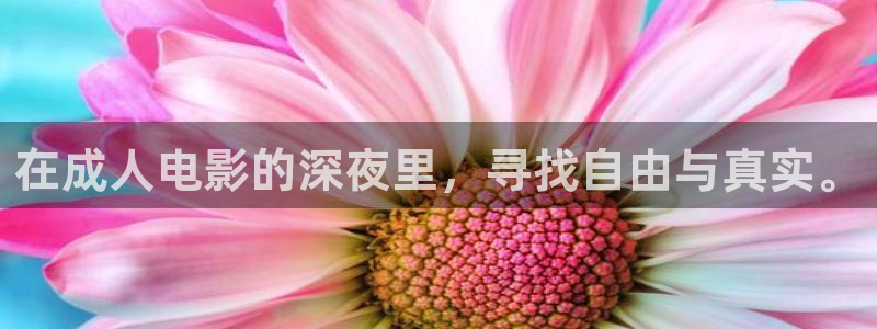午马电影在线观看电视剧最新章节