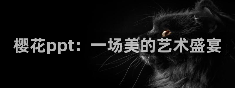 星空在线观看免费播放电影