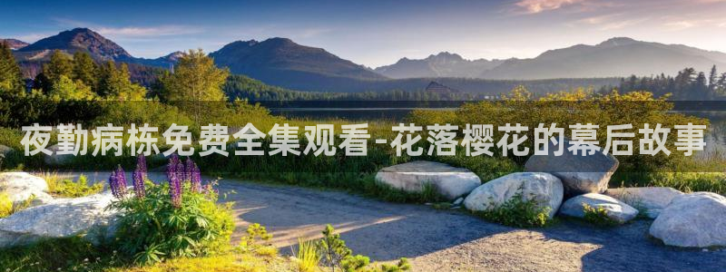 在线观看星空传媒