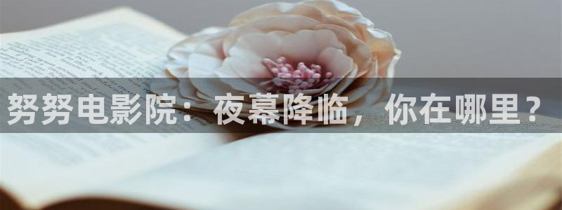 星空高清免费观看