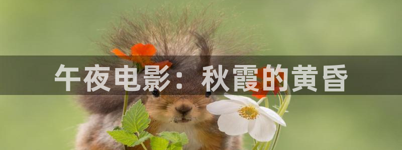 星空无痕mv高清在线播放