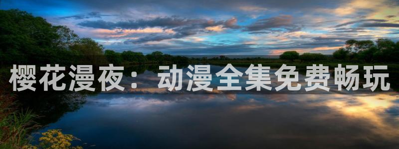 星空影视正版免费下载