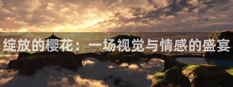星空视频下载