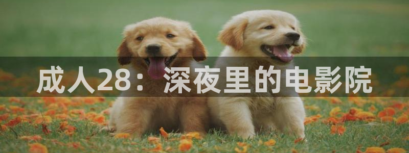 长相思午马电影