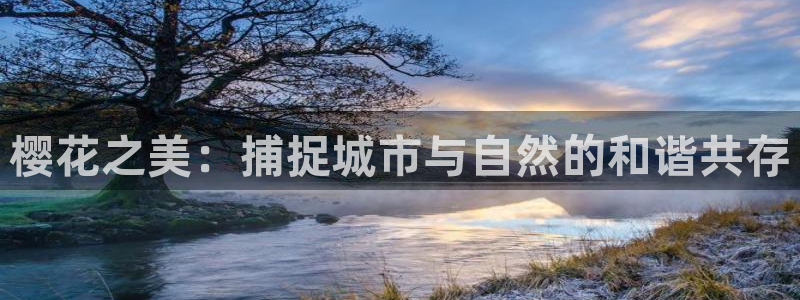 星空无限传媒免费播放