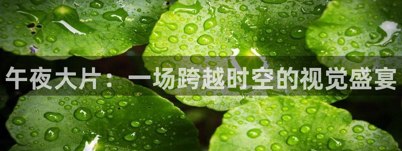 星空下的少年动漫电影免费观看