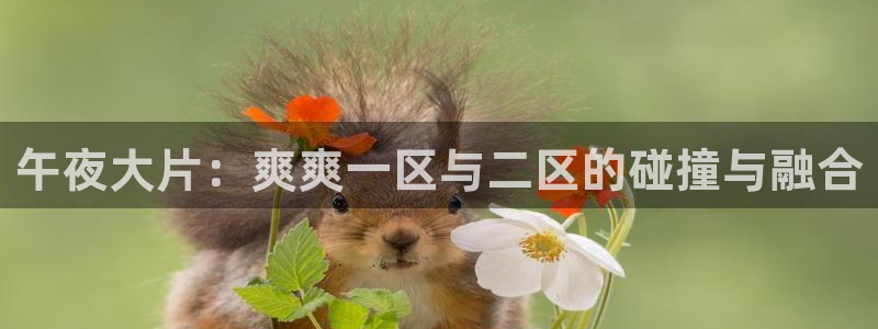 午马电影免费观看电影电视剧下载