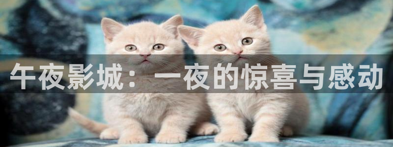 星空星辰影院官网入口
