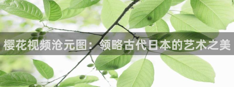 我们的日子午马电影