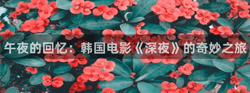 天美星空mv高清免费郭童童