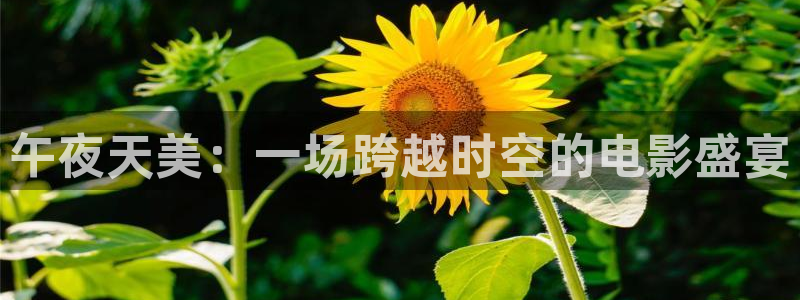 午马电影免费看电视剧大全