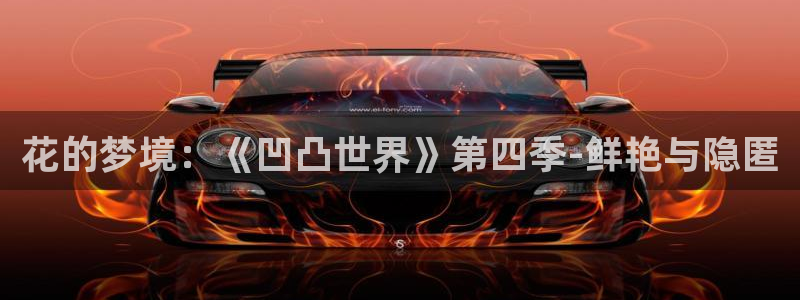 星空影视免费观看电视剧高清