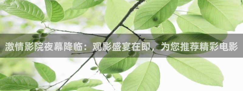 午马电影是什么