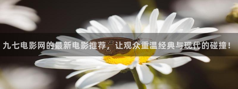 午马电影在线观看电视剧免费
