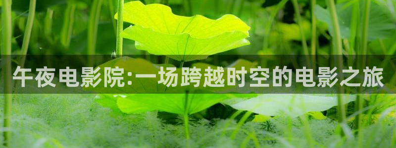星空影视在线观看高清免费